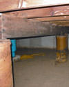 Mold and rot thriving in a dirt floor crawl space in Altoona