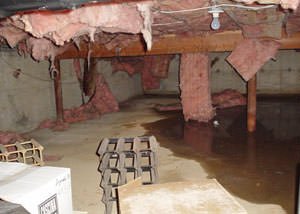 fiberglass insulation dripping off the ceiling of a crawl space in Pennsylvania Furnace.