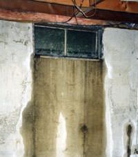 Flooding through basement windows in a Cherry Tree home.