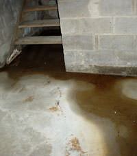 Flooding floor cracks by a hatchway door in Woodland
