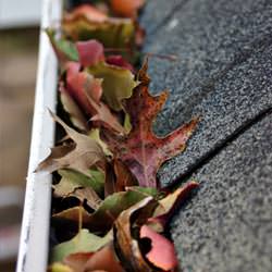 Clogged gutters filled with fall leaves  in Julian