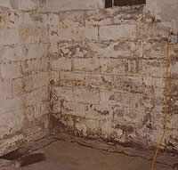 Peeling, Chipping, Basement Wall Coatings in Osceola Mills