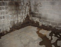 flooded basement with leaky basement walls in Cherry Tree, PA