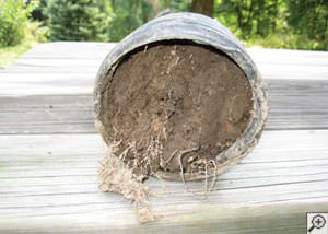 clogged french drain found in Woodland, Pennsylvania