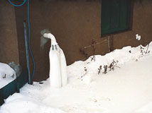 IceGuard® Installed Du Bois